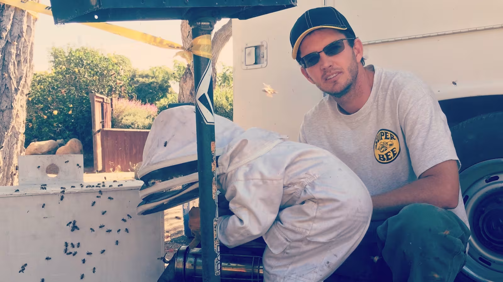 Super Bee Rescue and Removal Pest Control Santa Barbara CA hornet