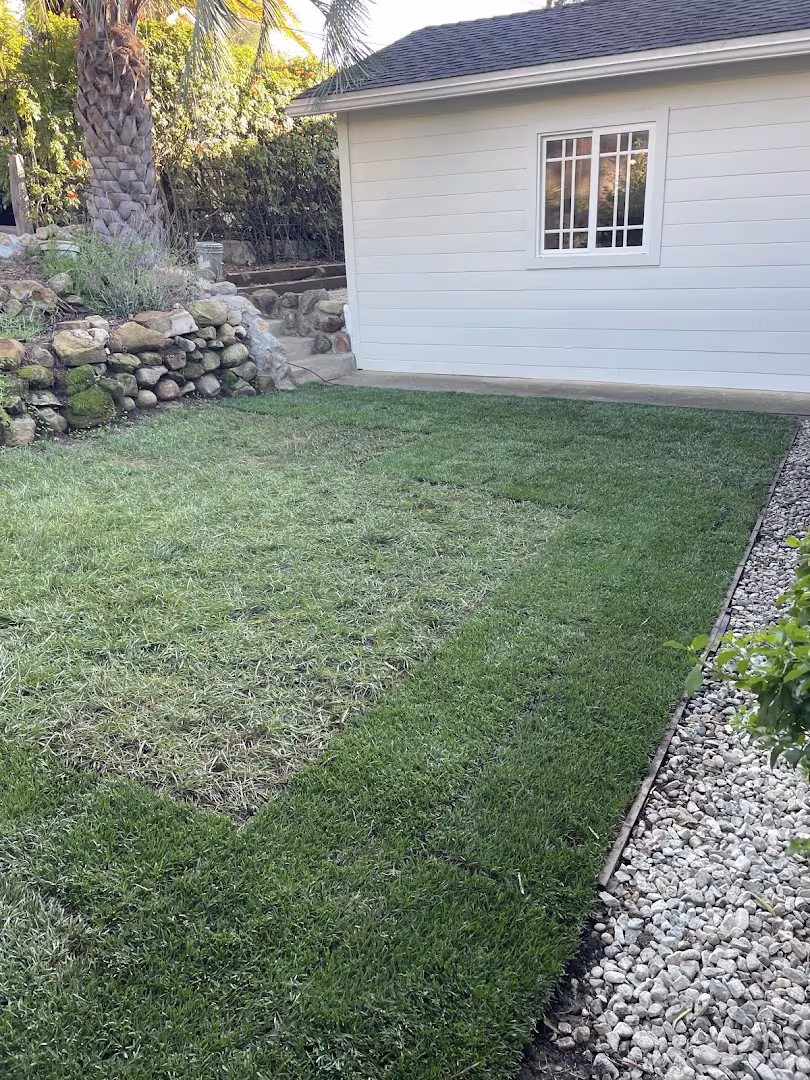 Superior landscaping and property MAINTENANCE Pest Control Santa Barbara CA black-widow