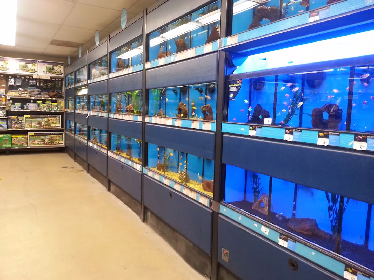Petco Pest Control Santa Barbara CA crawl-treat
