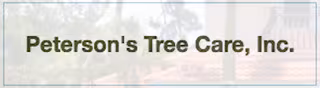 Peterson's Tree Care Tree Service Goleta CA root-conflict
