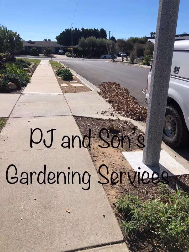 PJ & Son’s Gardening Santa Barbara CA Landscaping & Lawn Care overseed