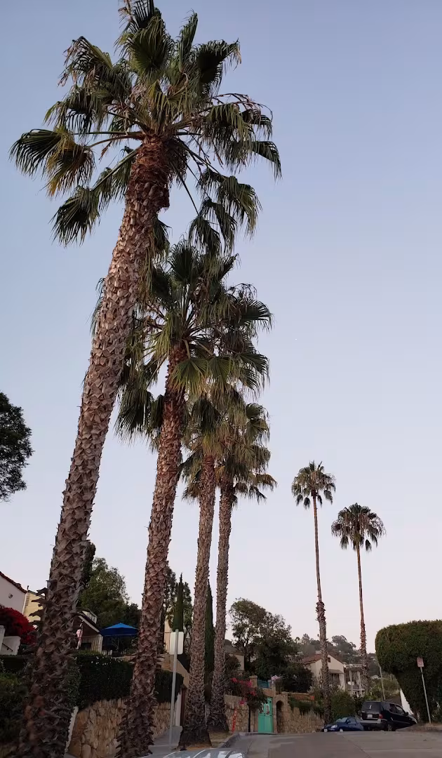 Estrada Plumbing Plumbing CA Santa Barbara hydro-jetting