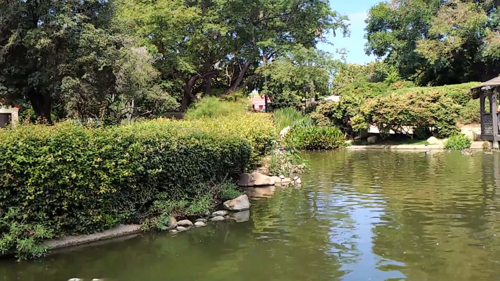 Alice Keck Park Memorial Garden Tree Service Santa Barbara CA stump-grind