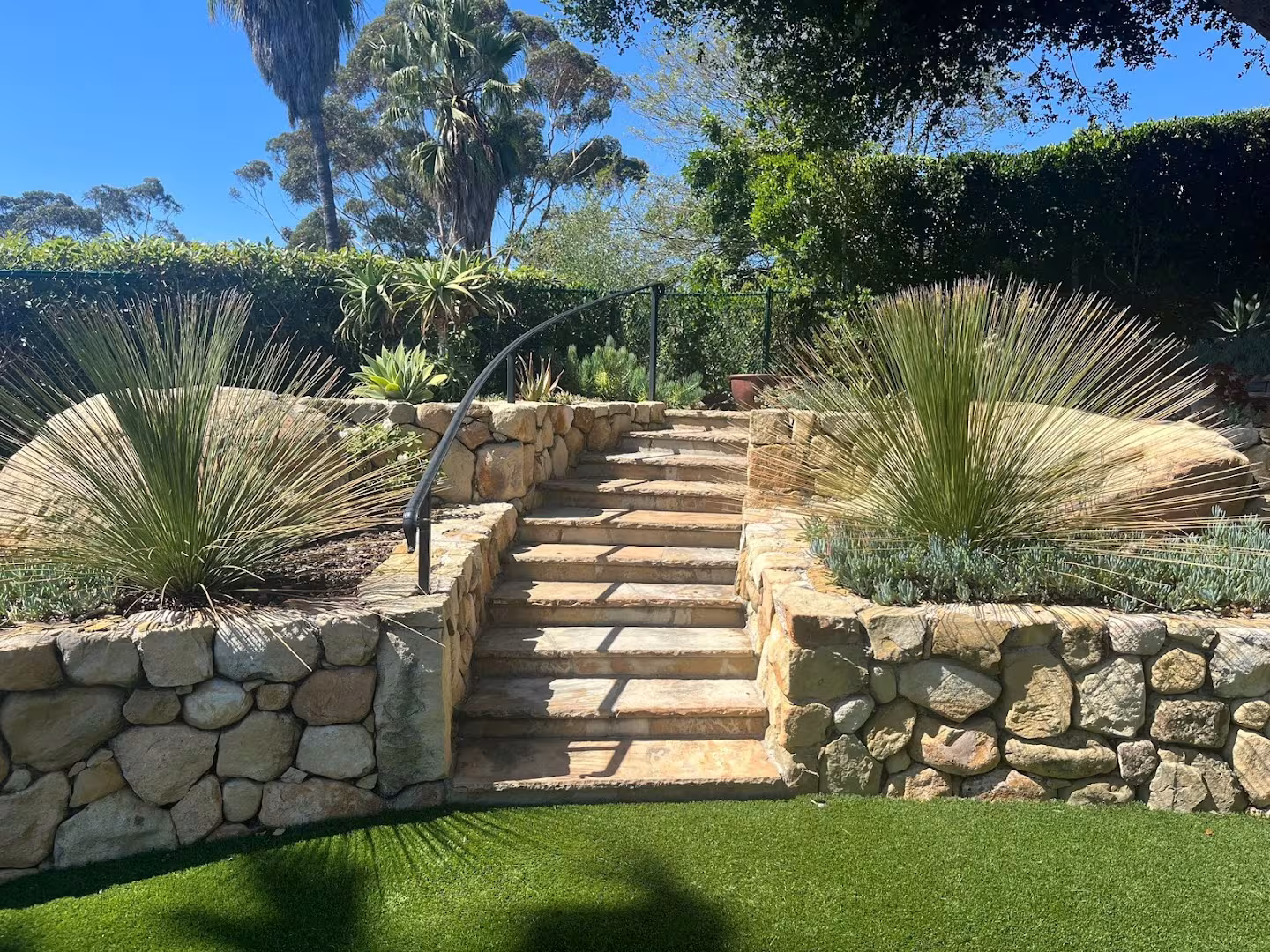 Santa Barbara Blue Agave Landscape Landscaping & Lawn Care CA groundcover
