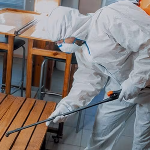 Santa Barbara Bustan Mold Remediation Water Damage Restoration CA thermal-image
