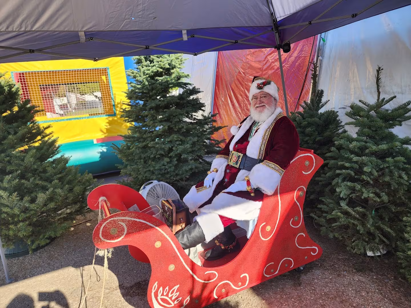 Tree Service Anthony's Christmas Trees Santa Barbara CA root-conflict