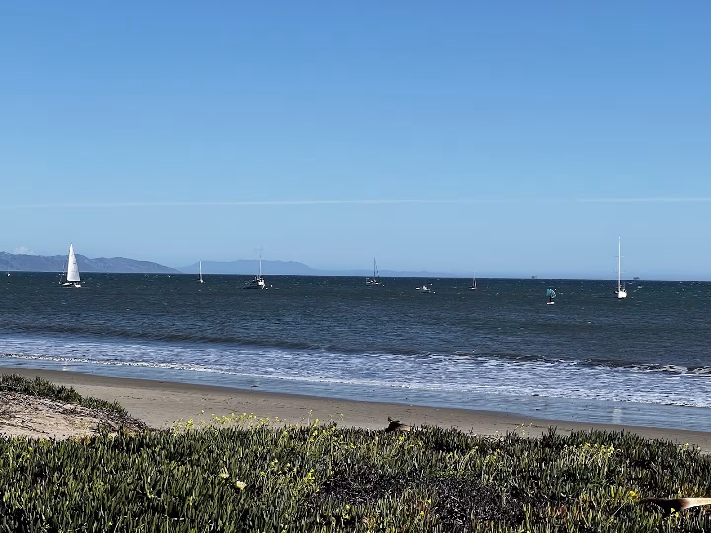 Santa Barbara CA Chase Palm Park Landscaping & Lawn Care spring-cleanup