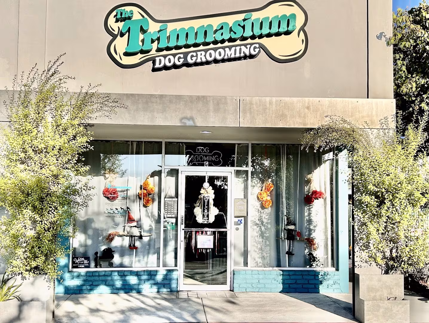 Fish Window Cleaning Windows & Doors Santa Barbara CA sash