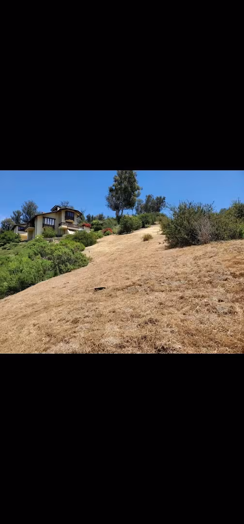 Santa Barbara CA Hernandez Landscaping Services Landscaping & Lawn Care hedge