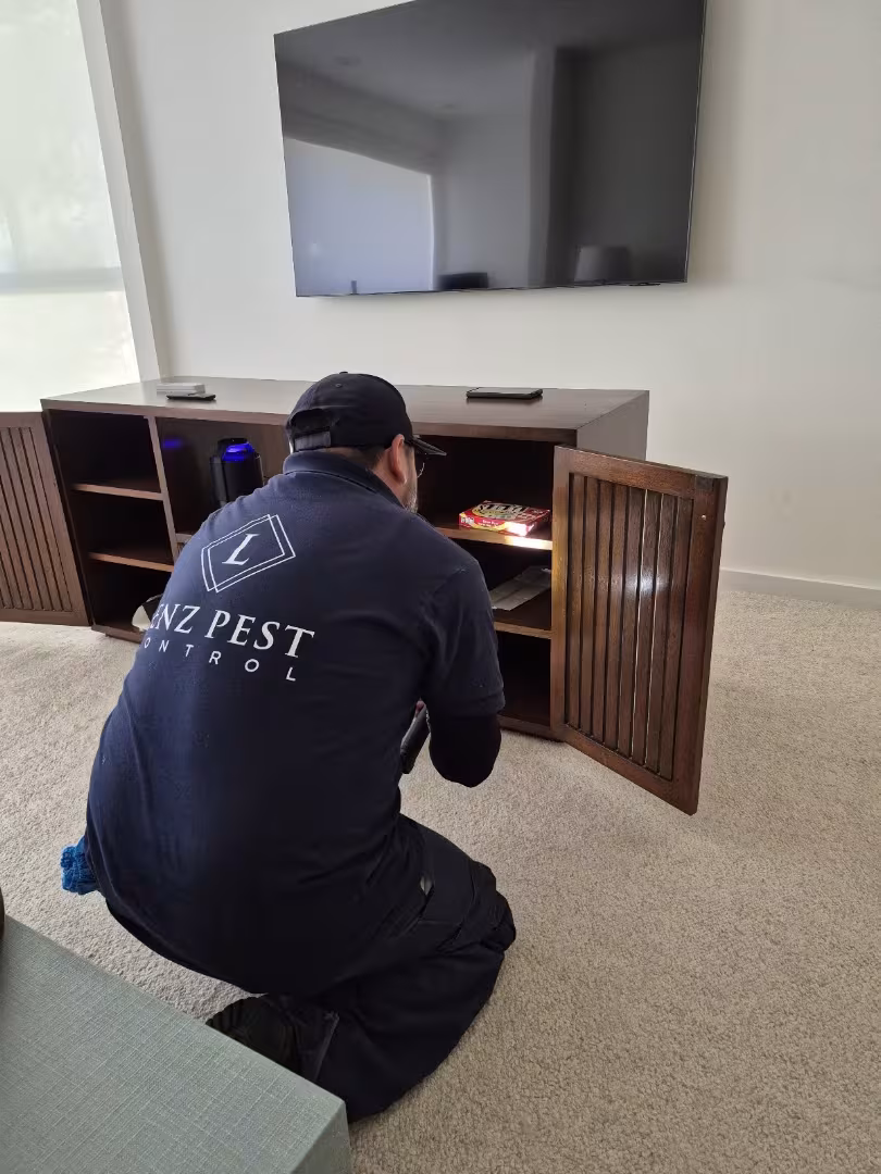 Pest Control Lenz Pest Control Santa Barbara CA german-roach