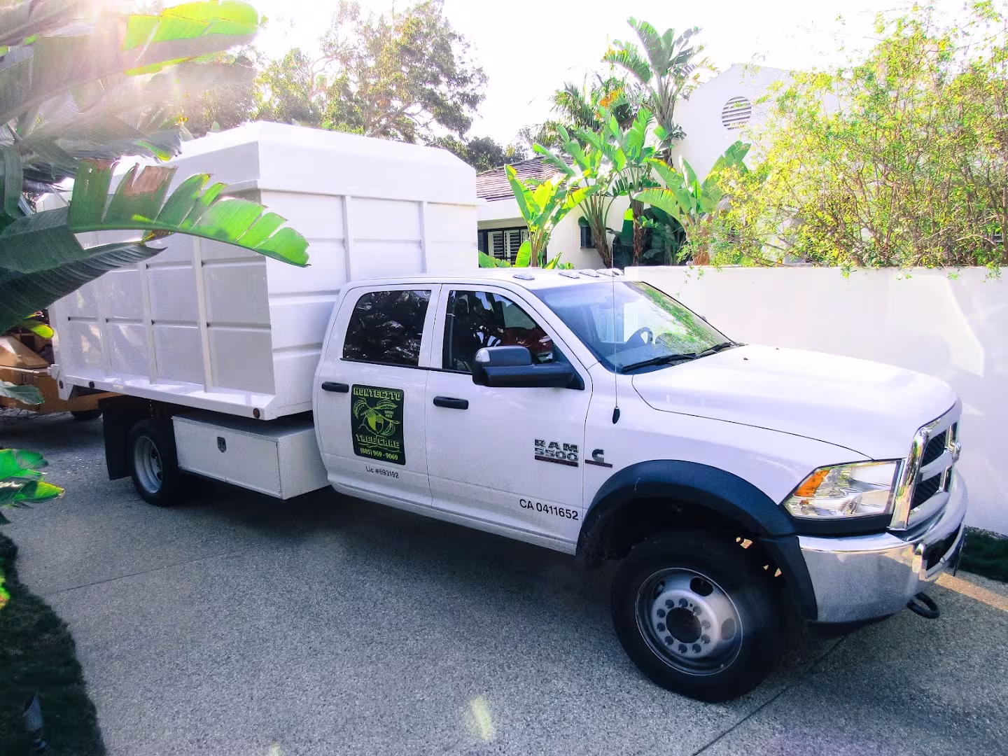 Santa Barbara CA MONTECITO TREE CARE Tree Service crown-clean