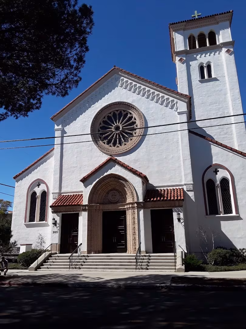 Moreton Bay Fig Tree Tree Service Santa Barbara CA climbing