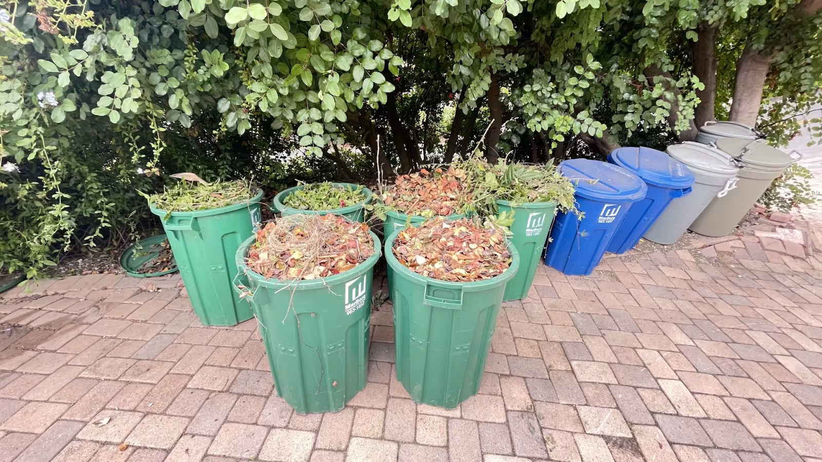 Santa Barbara CA PJ & Son’s Gardening Landscaping & Lawn Care drip-line