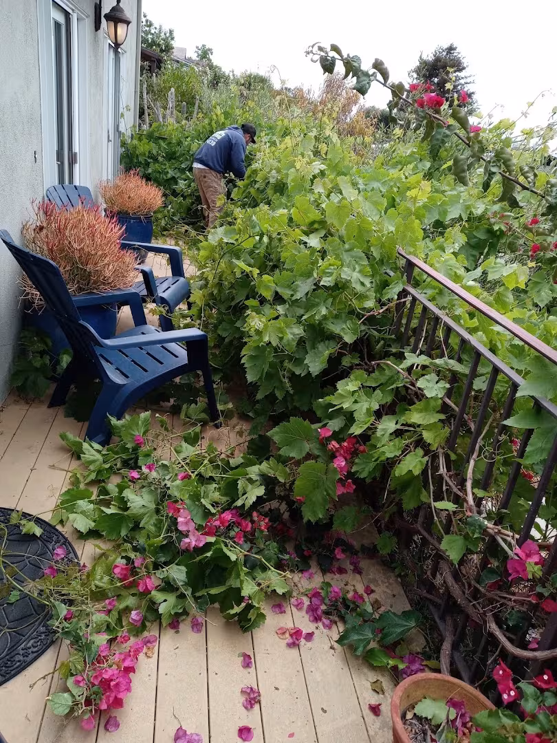 Santa Barbara CA Sotero Landscaping Landscaping & Lawn Care fertilize