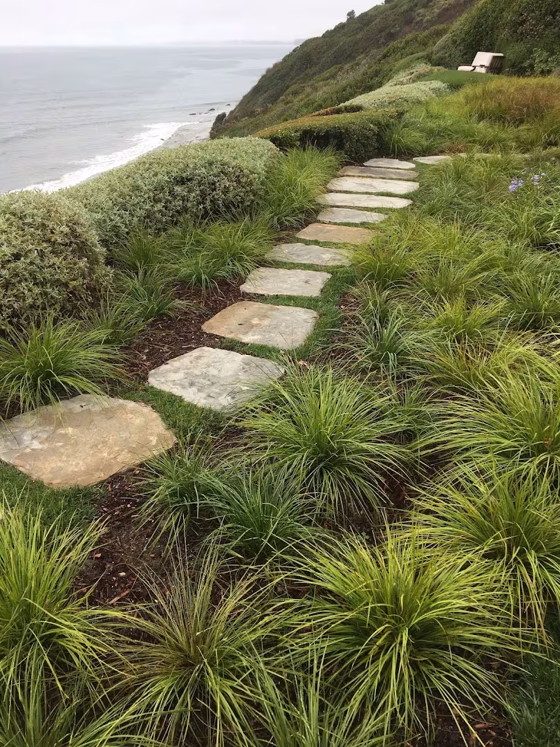 Pest Control South Coast Landscape Santa Barbara CA one-time