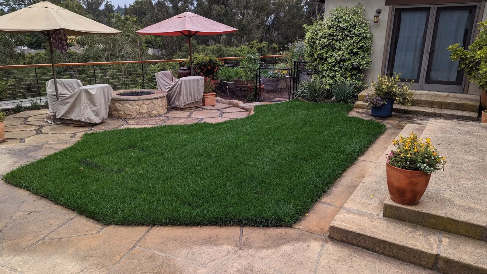 DLC Landscaping Tree Service Santa Barbara CA stump-remove