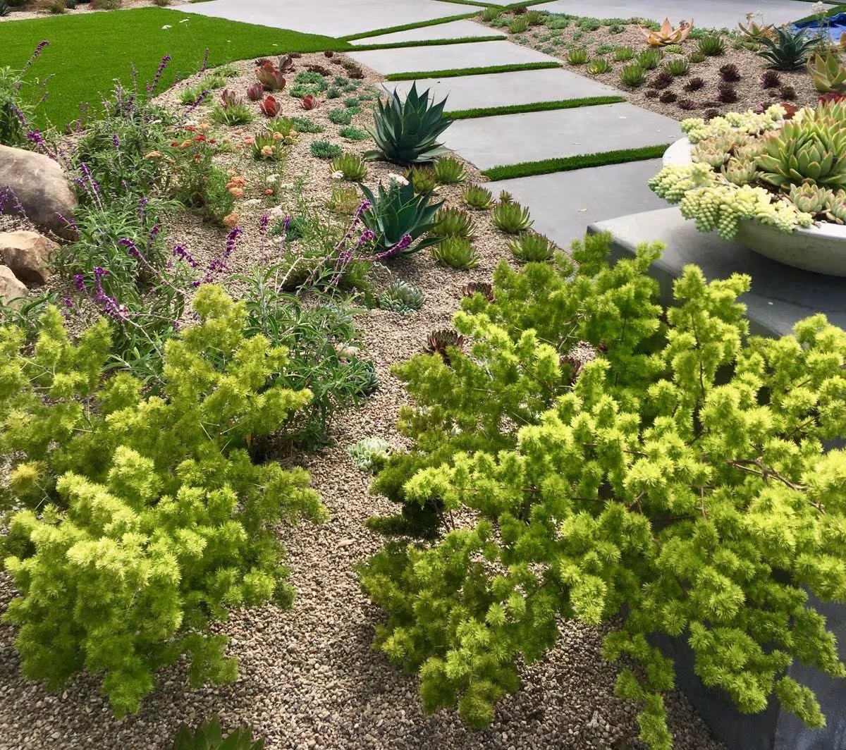 Breathtaking Landscaping Tree Service Santa Barbara CA rigging