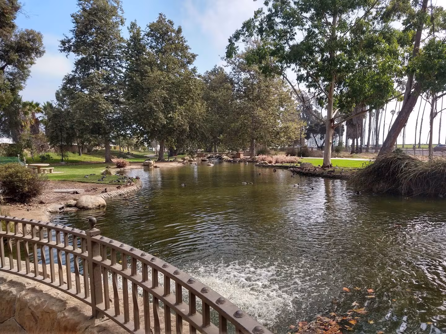 Santa Barbara Landscaping & Lawn Care Chase Palm Park CA maintain