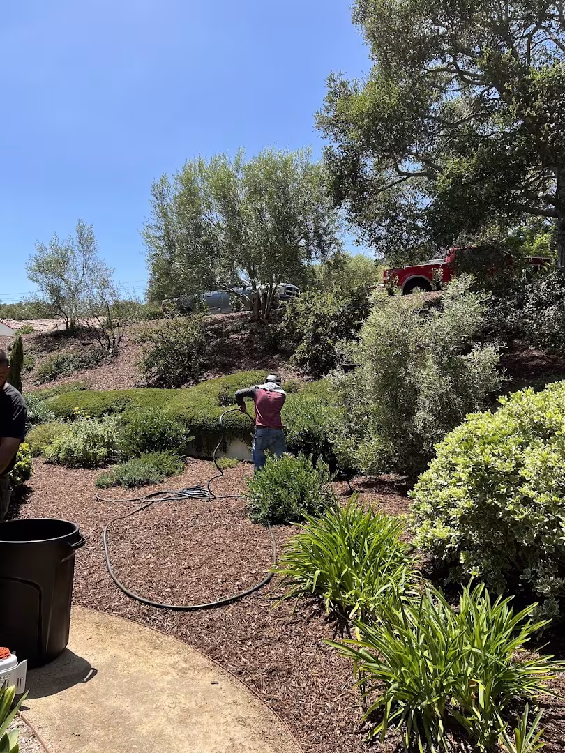 Santa Barbara Landscaping & Lawn Care Chex Landscape CA sod