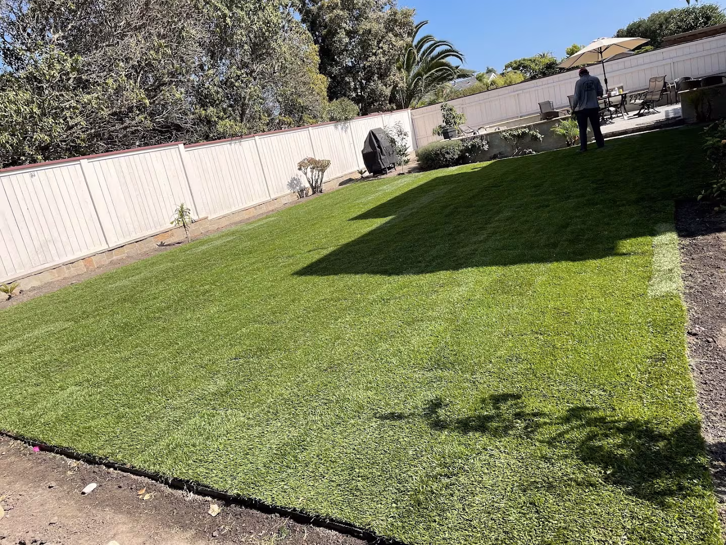 Santa Barbara Mario's and Sons Landscape Landscaping & Lawn Care CA scalp