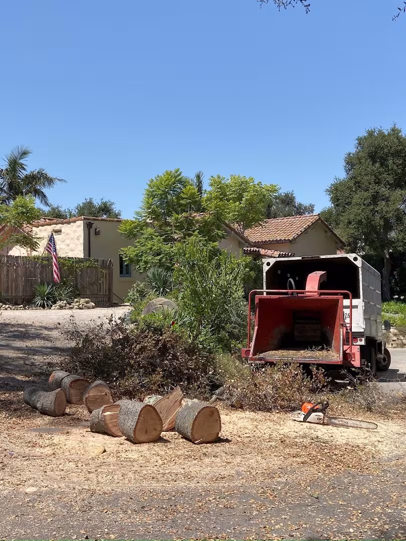 Santa Barbara Nick's Tree Service Tree Service CA climbing