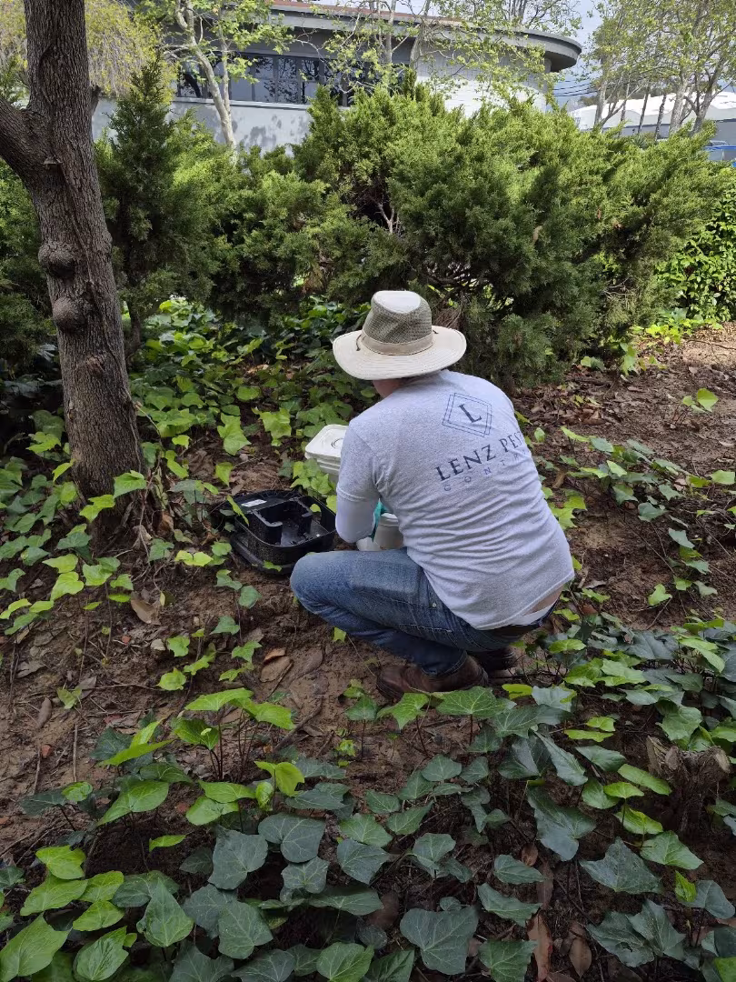 Lenz Pest Control Santa Barbara CA Pest Control odorous
