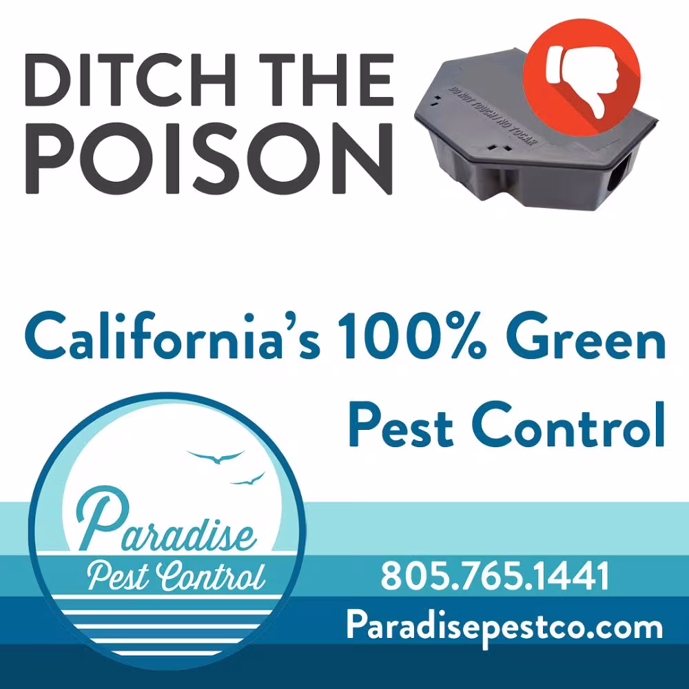 Santa Barbara Paradise Pest Control Pest Control CA american-roach