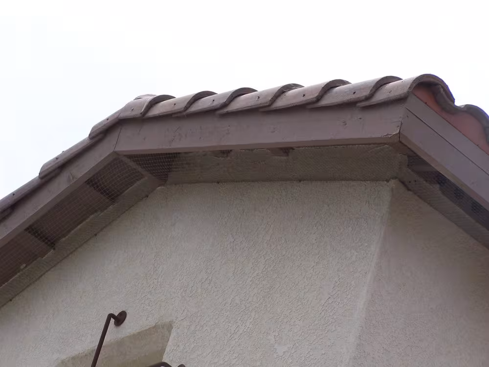 Santa Barbara Pest Control Tree Service Santa Barbara CA guy-wire