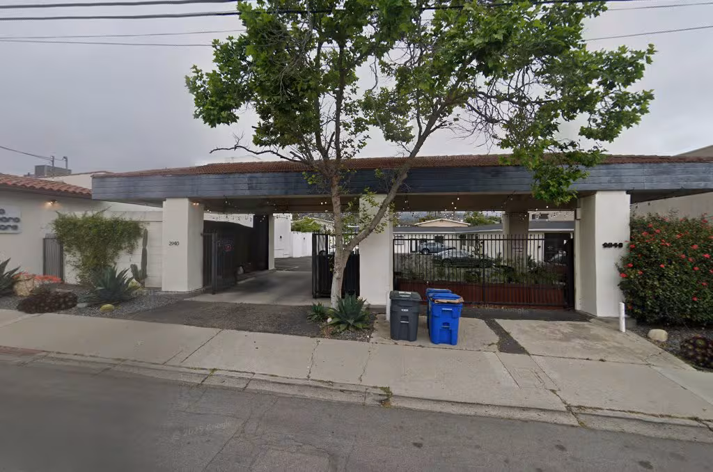 Pest Control Terminix CA Santa Barbara american-roach