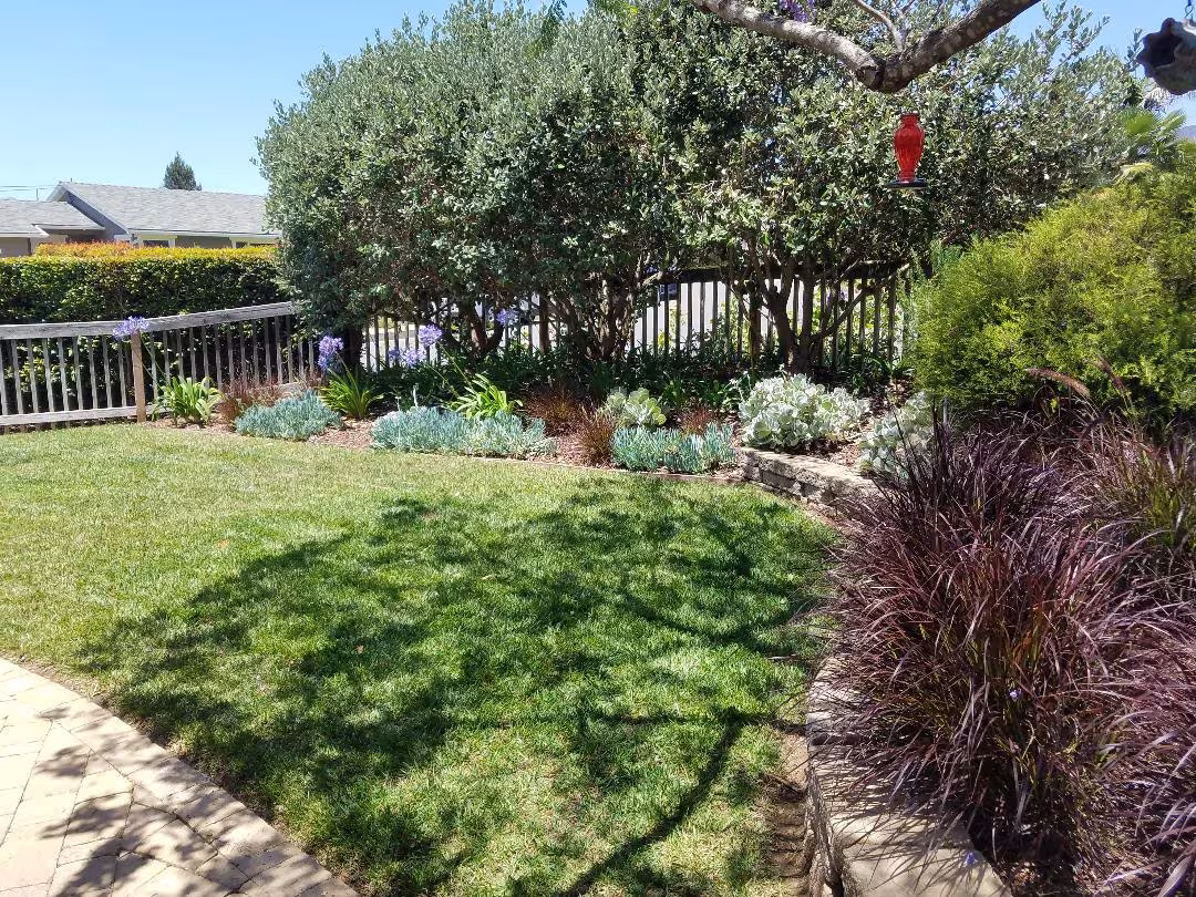 Zac Gonzalez Landscaping Pest Control Santa Barbara CA same-day-pest