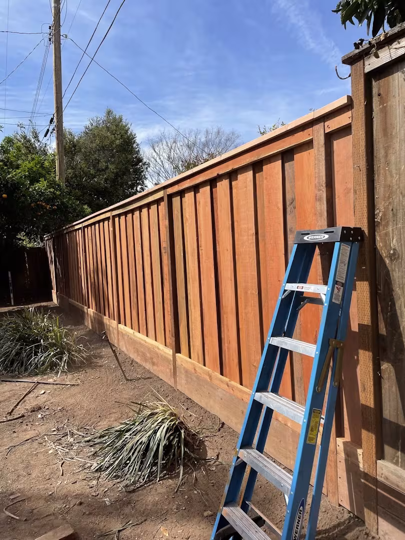 Superior landscaping and property MAINTENANCE Pest Control Santa Barbara CA recluse
