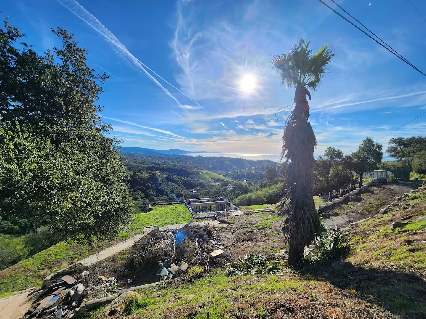 Santa Barbara San Roque Tree Care Tree Service CA decay