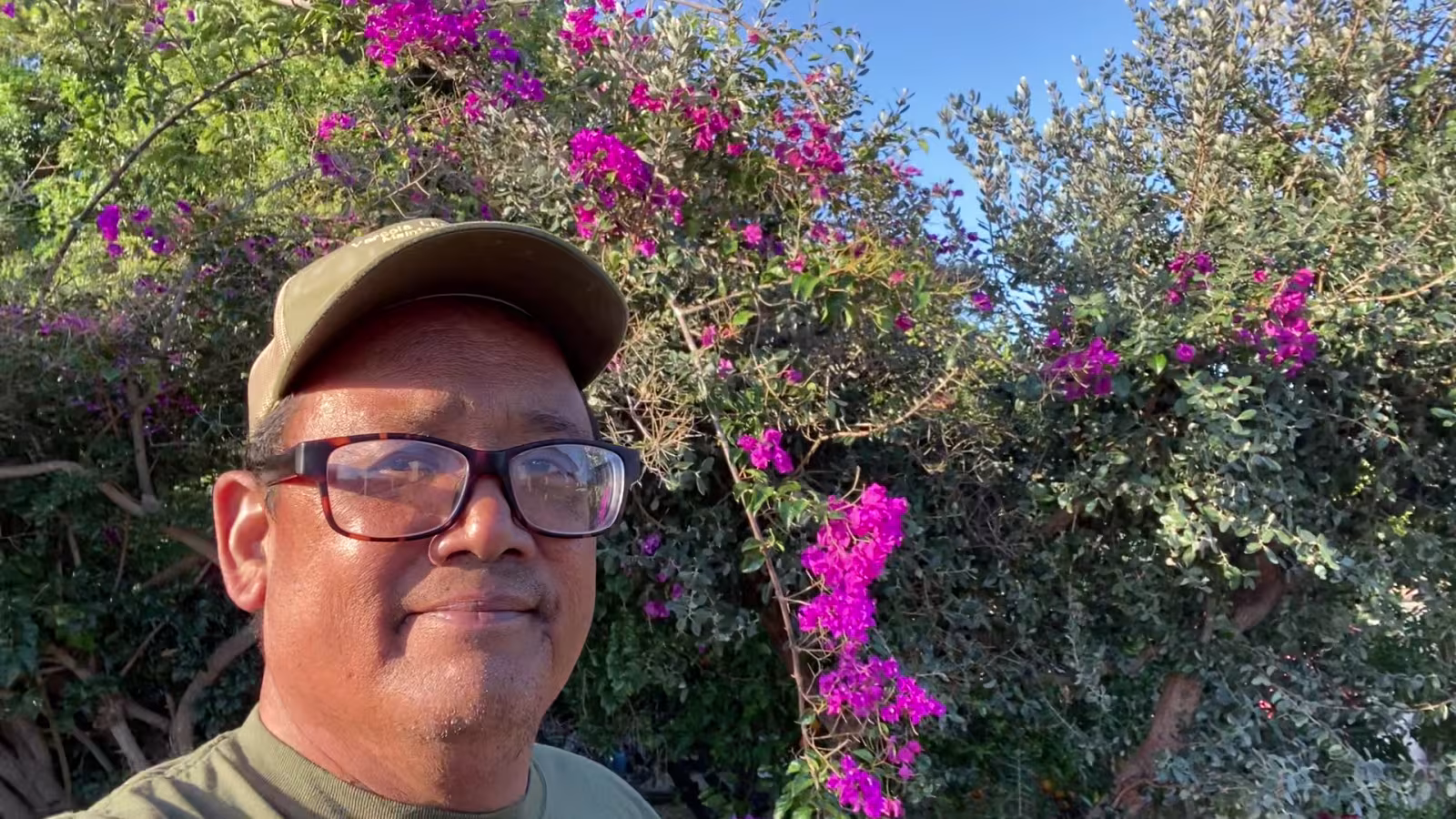 Versola Landscape Maintenance Service Pest Control Santa Barbara CA drywood