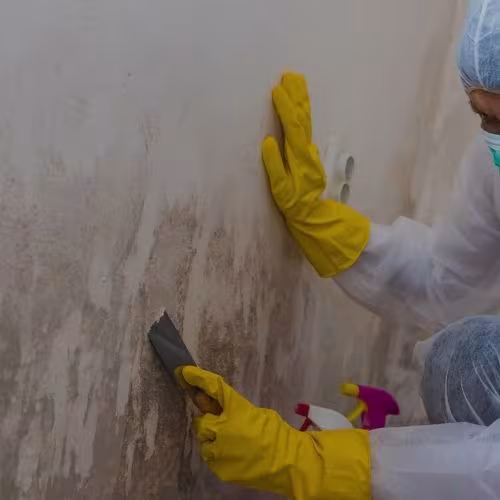 Santa Barbara Water Damage Restoration Bustan Mold Remediation CA daily-monitor