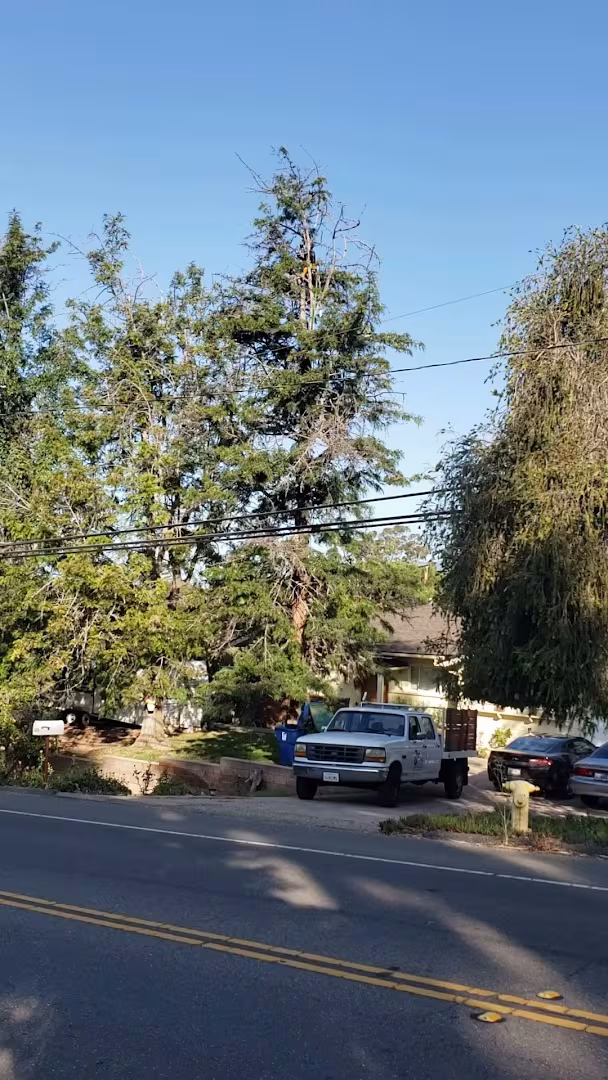 Zac Gonzalez Landscaping Pest Control Santa Barbara CA monthly-pest