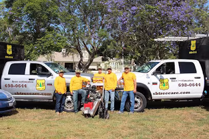 SB Tree Care Tree Service Goleta CA widowmaker