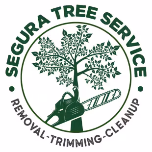 Segura tree service Tree Service Santa Bárbara CA lightning-protect