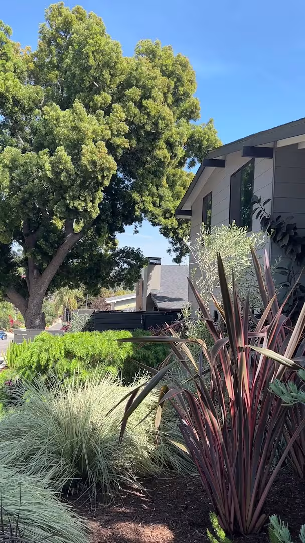 Mission Creek Painting Painting Santa Barbara CA room-ready
