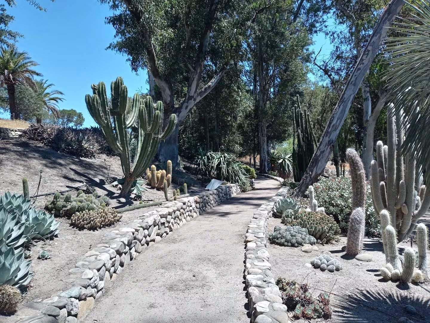 Sotero Landscaping Santa Barbara CA Landscaping & Lawn Care blow-hard