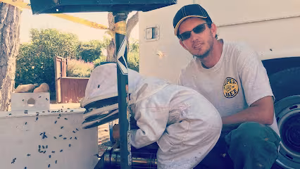 Super Bee Rescue and Removal Pest Control Santa Barbara CA wasp