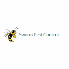 Pest Control Swarm Pest Control Santa Ana CA exterior-treat