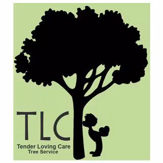 TLC Tree Service Tree Service Santa Barbara CA fence-protect