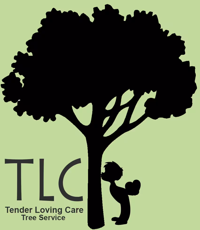 Tree Service TLC Tree Service Santa Barbara CA piece-down