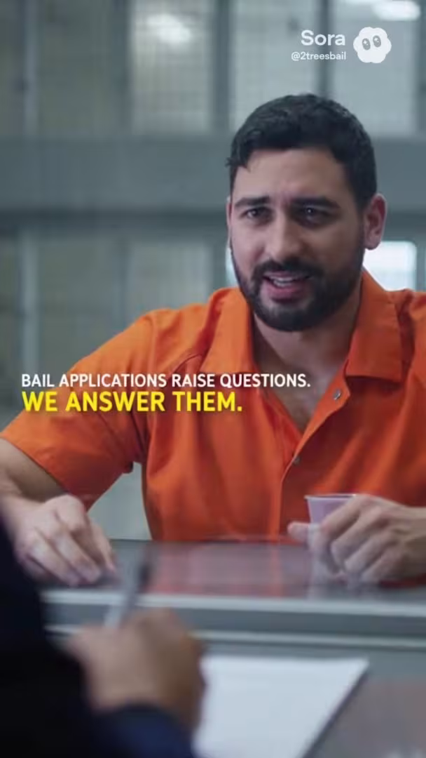 2 Trees Bail Bonds Santa Barbara Tree Service Santa Barbara CA replant