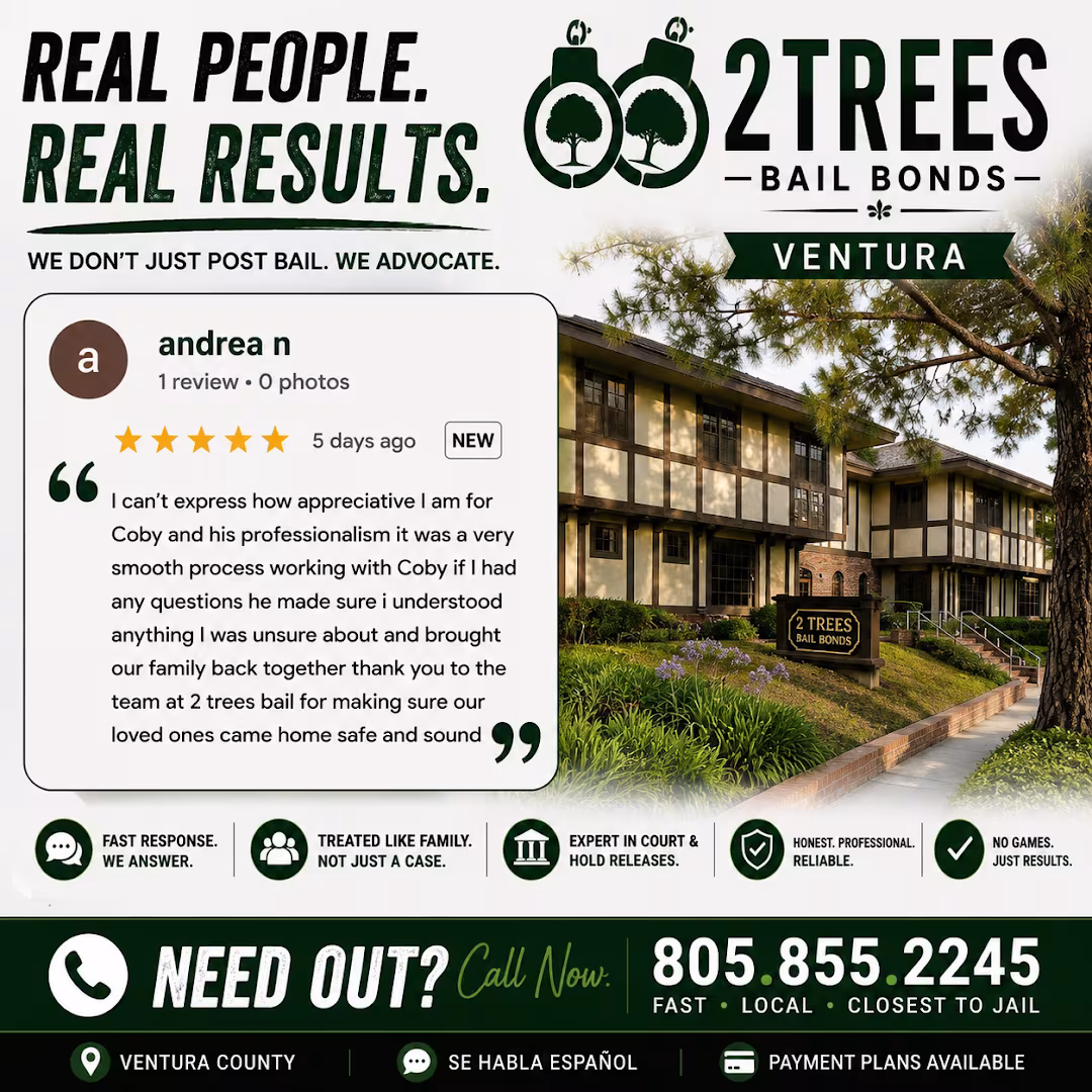 2 Trees Bail Bonds Santa Barbara Tree Service Santa Barbara CA risk-assess