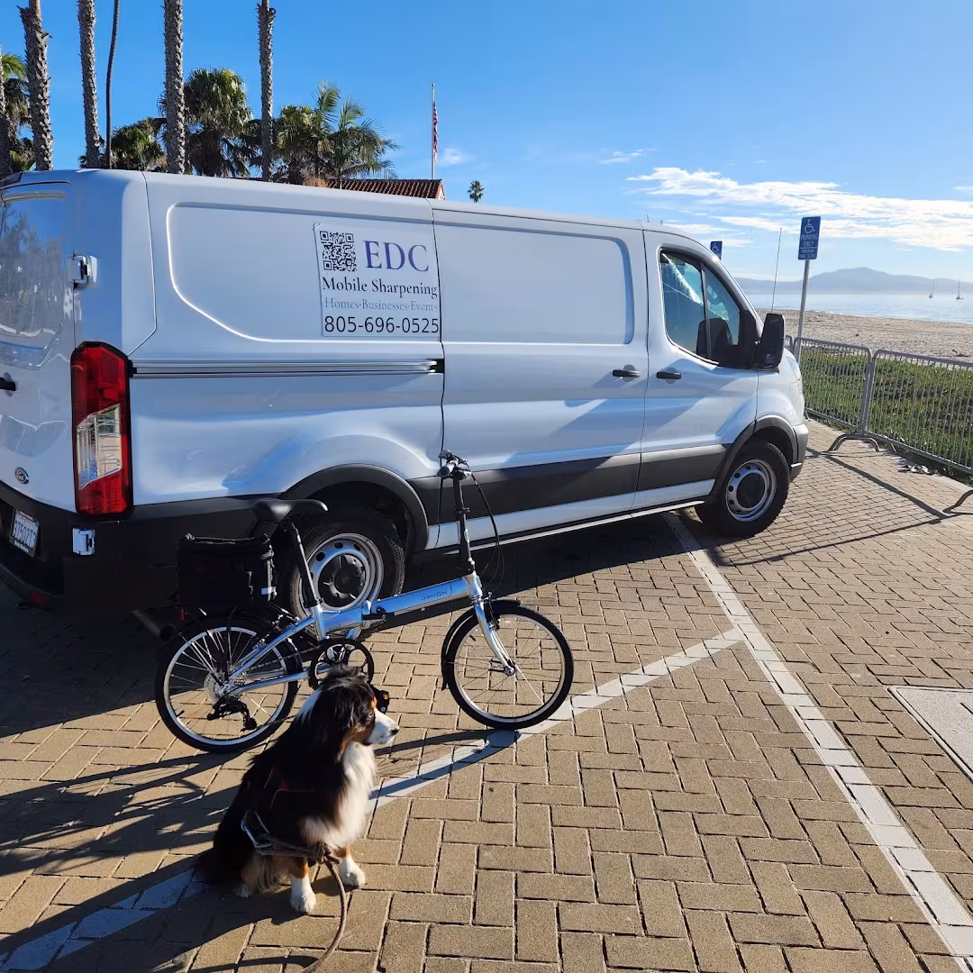Tree Service Anthony's Christmas Trees Santa Barbara CA sidewalk-lift