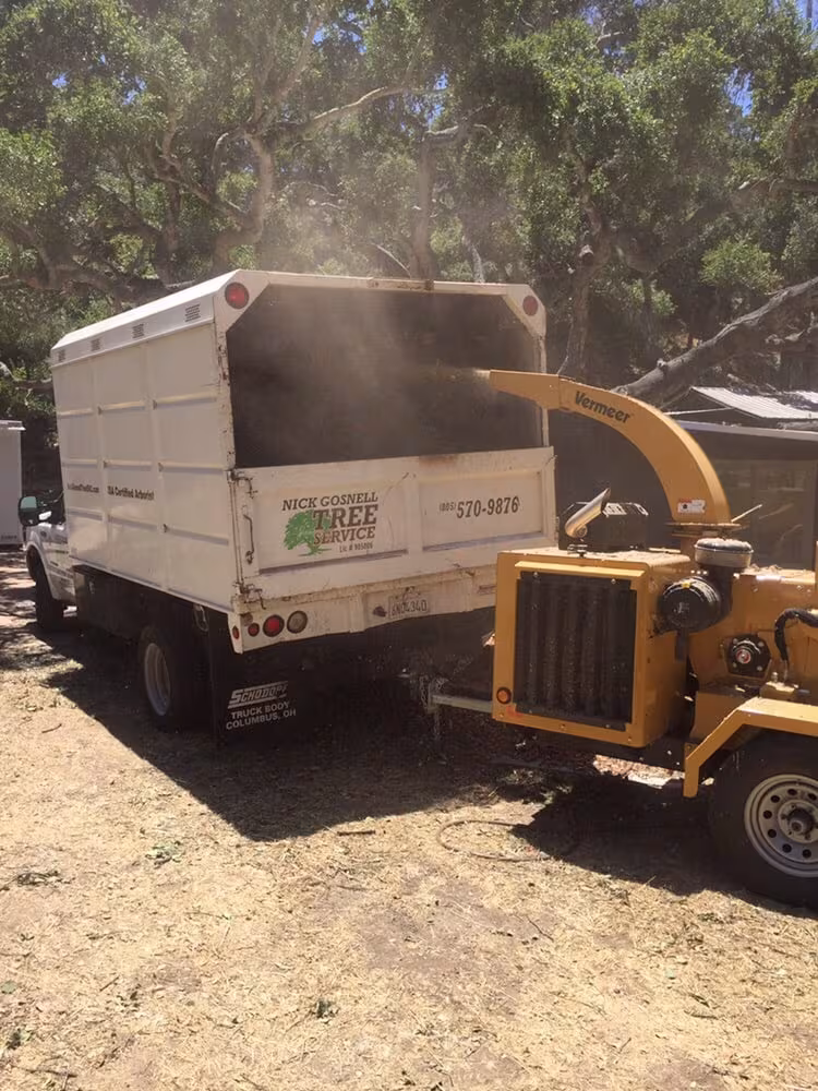 Tree Service Nick's Tree Service CA Santa Barbara sectional