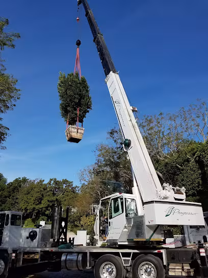 CA Santa Barbara Progressive Care Tree Service firewood