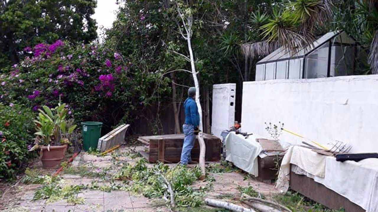 Honey Bee Tree Care Tree Service Santa Barbara CA site-protect