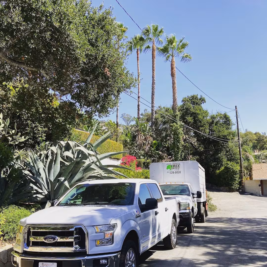 Tree Service Santa Barbara Nick's Tree Service CA chipper